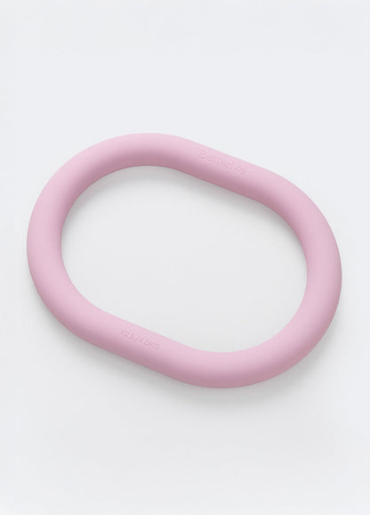 Recovery Foam Roller (DEV) web-app integration testing