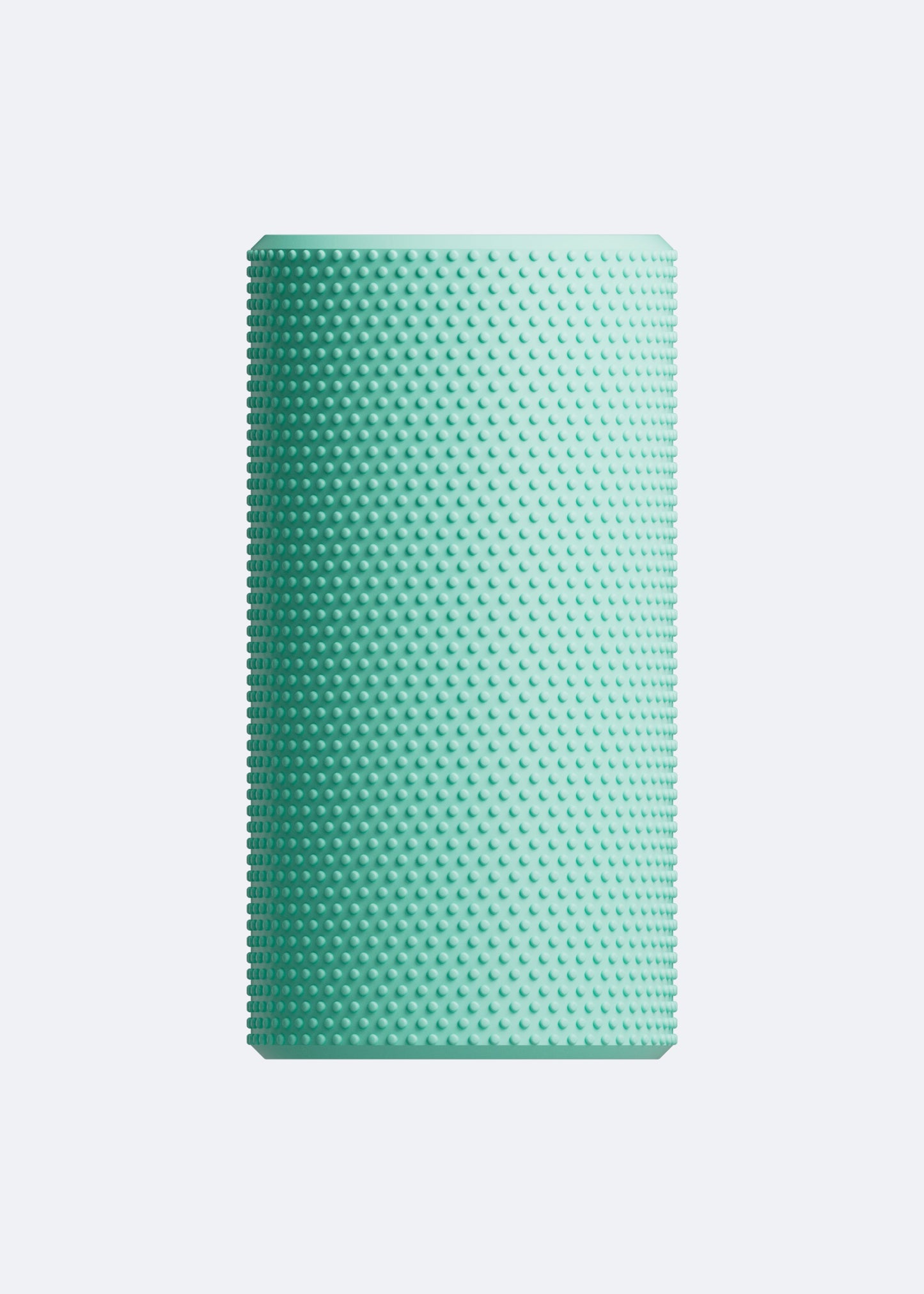 Recovery Foam Roller