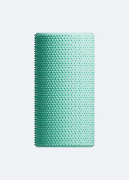 Recovery Foam Roller