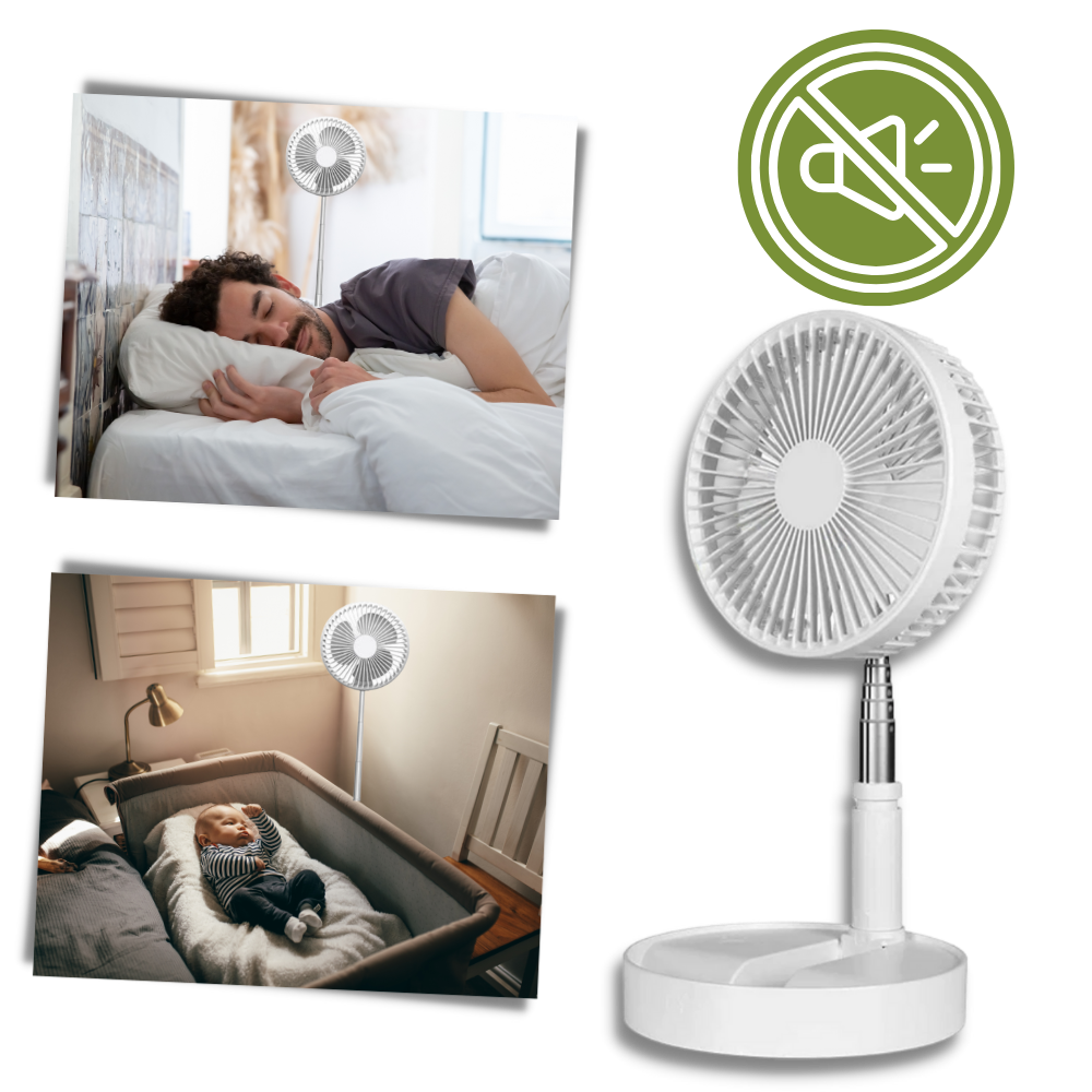 USB charging portable fan
